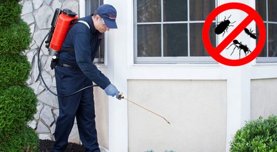 Ümraniye Fare İlaçlama böcek ilaçlama ve haşere kontrolü — ilaclama-tr.com